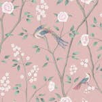 Tapet Boråstapeter Paradise Birds 1901