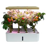 Hydroponisk Odlingslåda RobotGarden Hydroponisk Odling med Startkit & Växtlampa, Vit