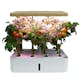 Hydroponisk Odlingslåda RobotGarden Hydroponisk Odling med Startkit & Växtlampa, Vit