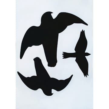 Fågelskrämma Ryom Fågelklistermärken 6 st för Fönster