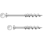 Skruv DeWalt DFM425005P WallDog 100-pack FZB