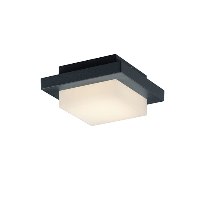 Vägg-/Taklampa Trio Hondo SMD LED