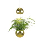 Fönsterlampa Globen Lighting Planter
