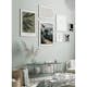 Poster Gallerix Botanical Graphic No1