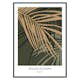 Poster Gallerix Botanical Graphic No3