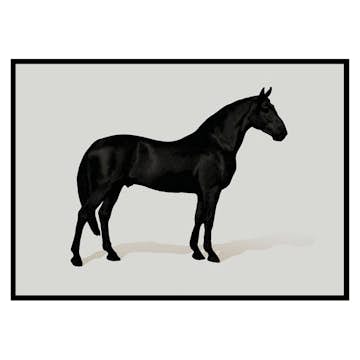 Poster Gallerix Black Horse Land. Drawing