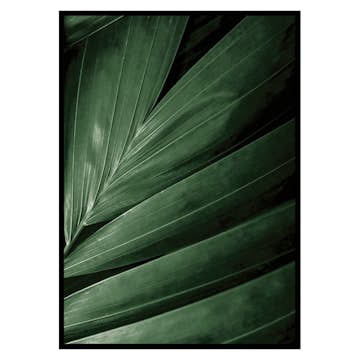 Poster Gallerix Intense Green No2