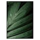 Poster Gallerix Intense Green No2