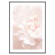 Poster Gallerix Tender Flowers No1