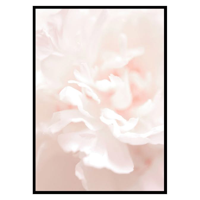 Poster Gallerix Tender Flowers No1