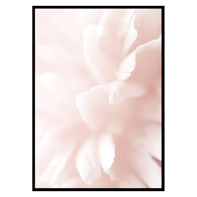 Poster Gallerix Tender Flowers No3