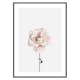 Poster Gallerix Pink Rose No1
