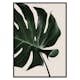 Poster Gallerix Monstera Two