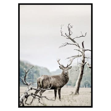 Poster Gallerix Winter Deer