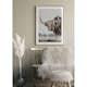 Poster Gallerix Highland Cattle
