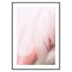 Poster Gallerix Flamingo Feathers