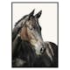 Poster Gallerix Brown Horse