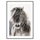 Poster Gallerix Wild Horse