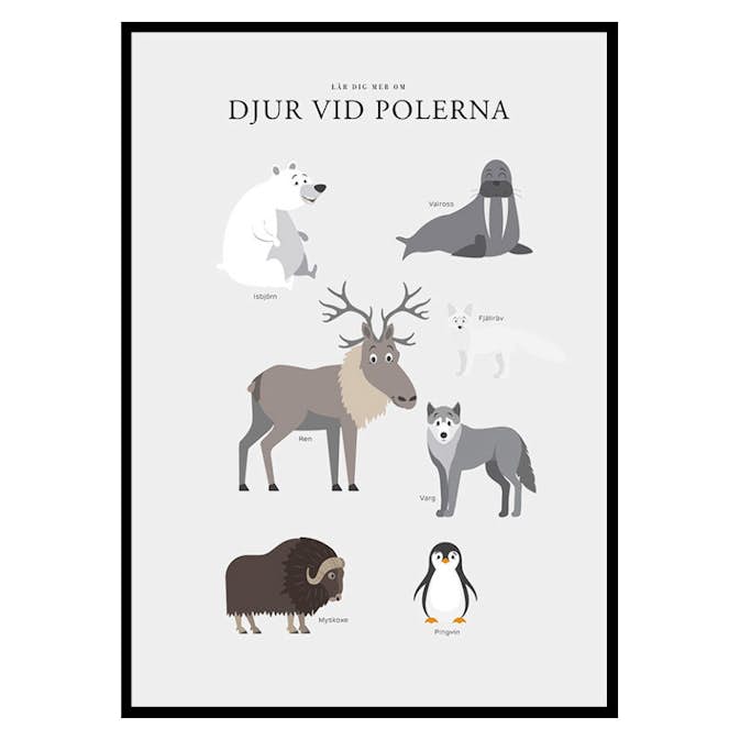 Poster Gallerix Djur Vid Polerna