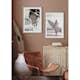 Poster Gallerix Coffee Beans No3