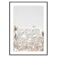 Poster Gallerix Bunny Tails