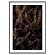 Poster Gallerix Fir Needle No1