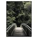 Poster Gallerix Forest Crossing