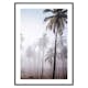 Poster Gallerix Palms In Haze
