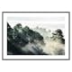 Poster Gallerix Sunlight Forest