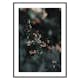 Poster Gallerix Forest Vegetation