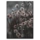 Poster Gallerix Forest Flowers