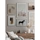 Poster Gallerix Dried Plants No2