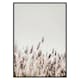 Poster Gallerix Dried Plants No2