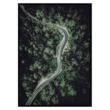 Poster Gallerix Forest Road