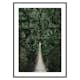 Poster Gallerix Escape Into The Forest