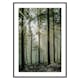 Poster Gallerix Light Through Trees