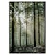 Poster Gallerix Light Through Trees