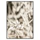 Poster Gallerix Dried Plant No4