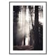 Poster Gallerix Yosemite Valley