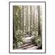 Poster Gallerix Green Forest