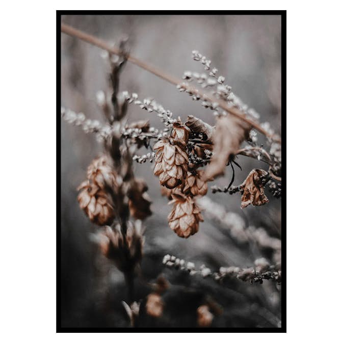 Poster Gallerix Autumn arrival