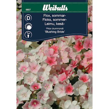 Frö Flox Weibulls Blushing Bride