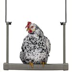 Hönsgunga Ryom Plast