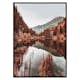 Poster Gallerix Colorado Forest