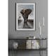 Poster Gallerix Elephant Road