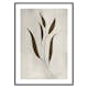 Poster Gallerix Plant Art No1