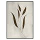 Poster Gallerix Plant Art No1