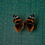 Tapet Eijffinger Museum 307351