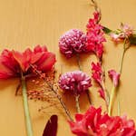 Tapet Eijffinger Museum 307353