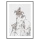 Poster Gallerix Dry Flowers